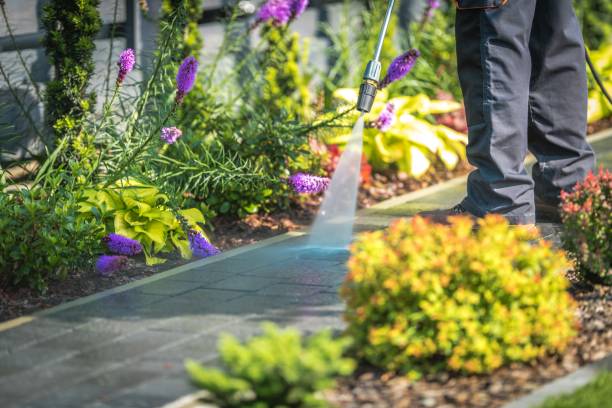 Best Driveway Pressure Washing  in Martinsvle, IL