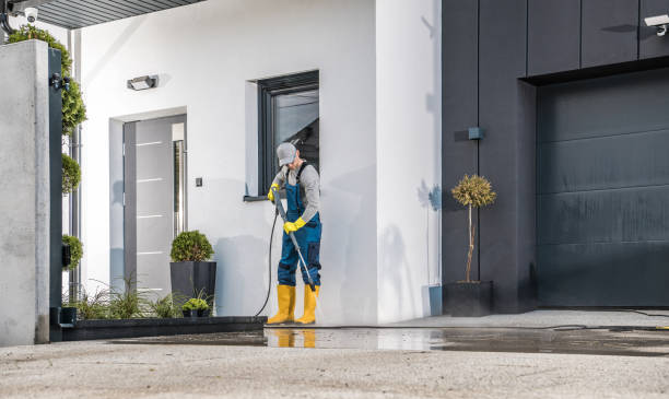 Best Sidewalk and Walkway Cleaning  in Martinsvle, IL